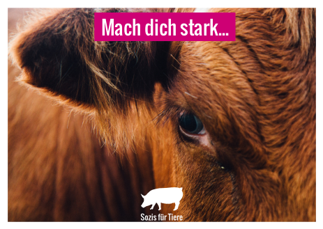 Postkarte: Steuerprivilegien streichen! 19 % Mehrwertsteuer auf Fleisch