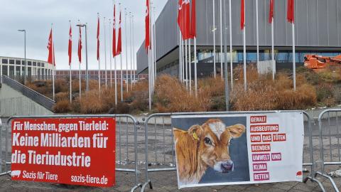 Banner "Keine Milliarden für die Tierindustrie" und weiterer vor Messegelände Berlin