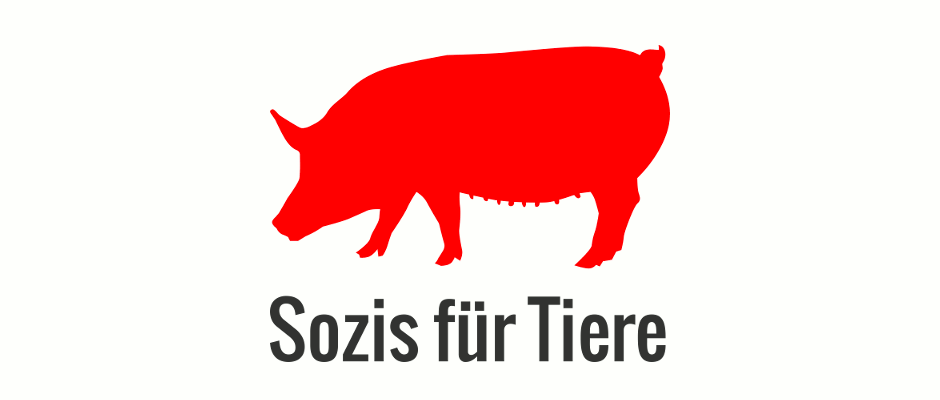 Tierschutzempfehlungen für ein Landtagswahlprogramm der SPD Hessen
