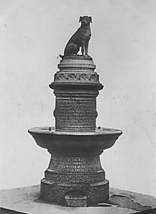 Brown Dog Statue