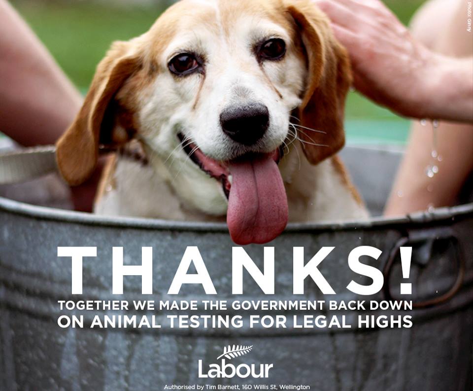 New Zealand Labour Party: Gegen Massentierhaltung und Tierversuche